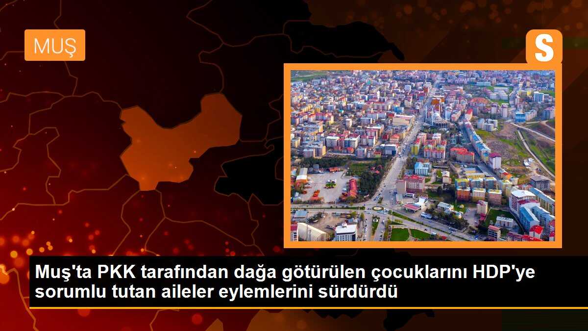 Muş\'ta PKK tarafından dağa götürülen çocuklarını HDP\'ye sorumlu tutan aileler eylemlerini sürdürdü