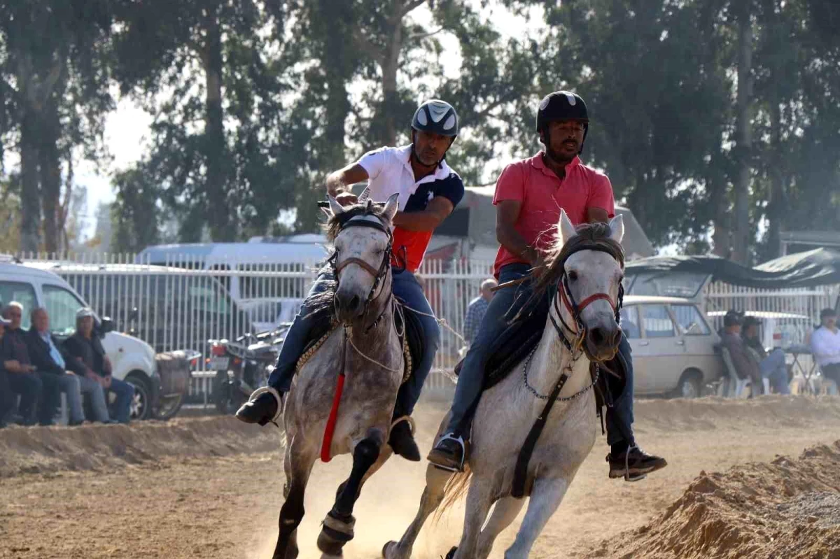 Yenipazar\'da Rahvan At Yarışları Heyecanı