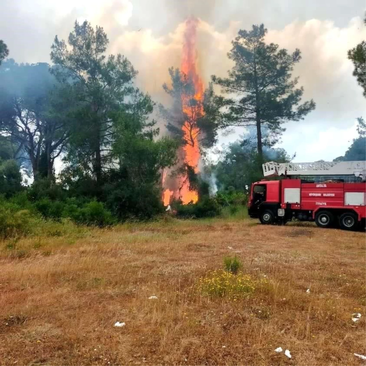 Antalya\'da çıkan orman yangını büyümeden kontrol altına alındı