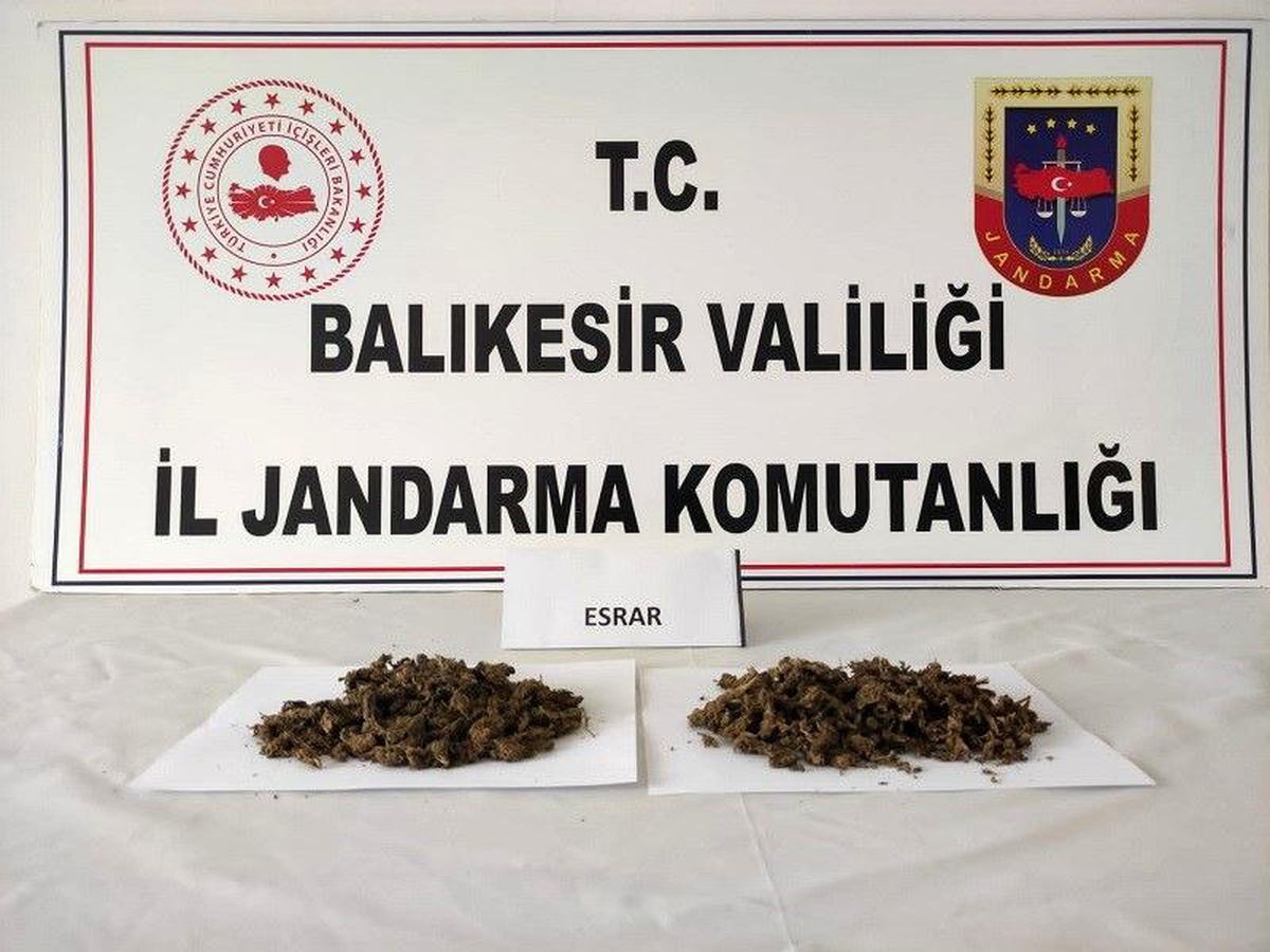 Balıkesir İl Jandarma Komutanlığınca Ayvalık\'ta başarılı uyuşturucu operasyonu