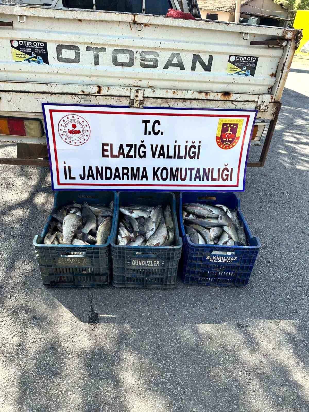 Elazığ\'da kaçak balık avı yapan şüpheli yakalandı