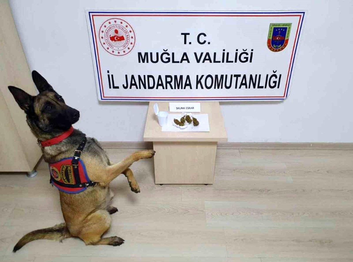 Jandarma 4 günde 147 operasyon yaptı