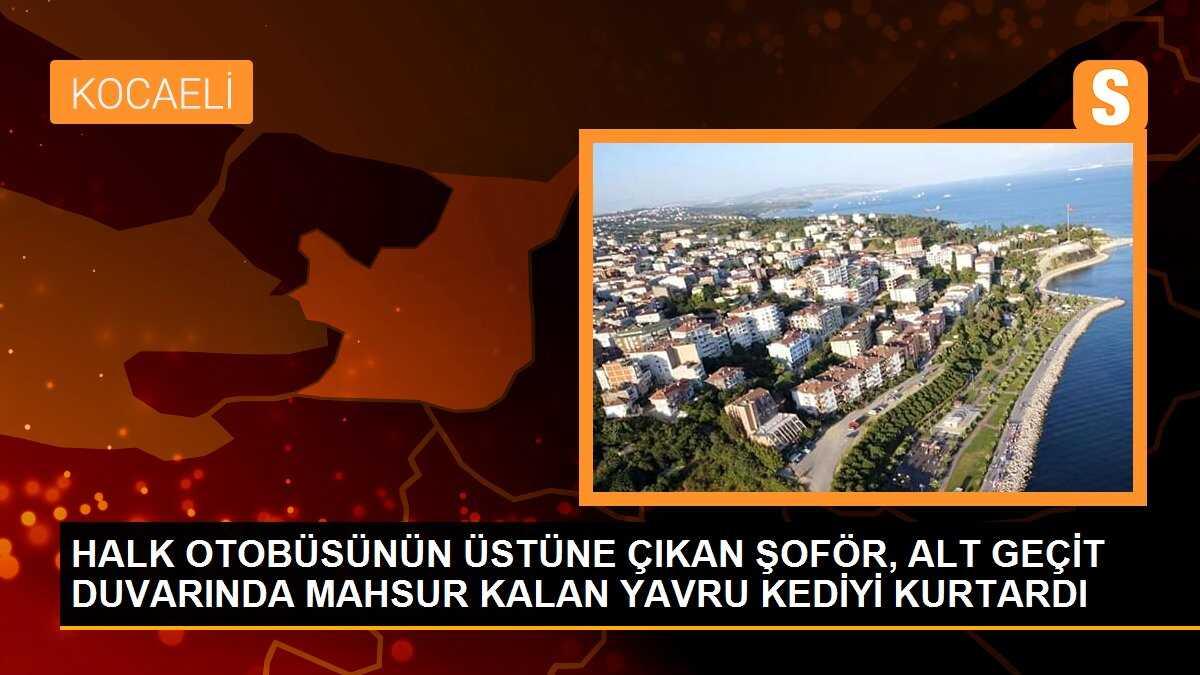 HALK OTOBÜSÜNÜN ÜSTÜNE ÇIKAN ŞOFÖR, ALT GEÇİT DUVARINDA MAHSUR KALAN YAVRU KEDİYİ KURTARDI