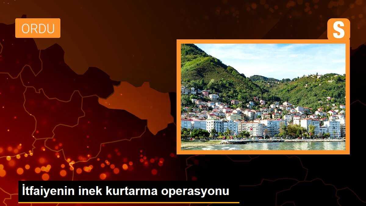 İtfaiyenin inek kurtarma operasyonu