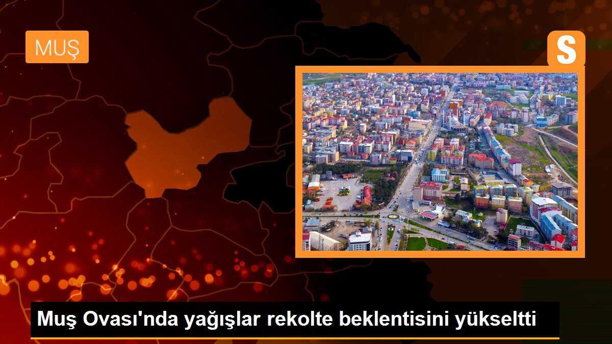 Muş Ovası\'nda yağışlar rekolte beklentisini yükseltti