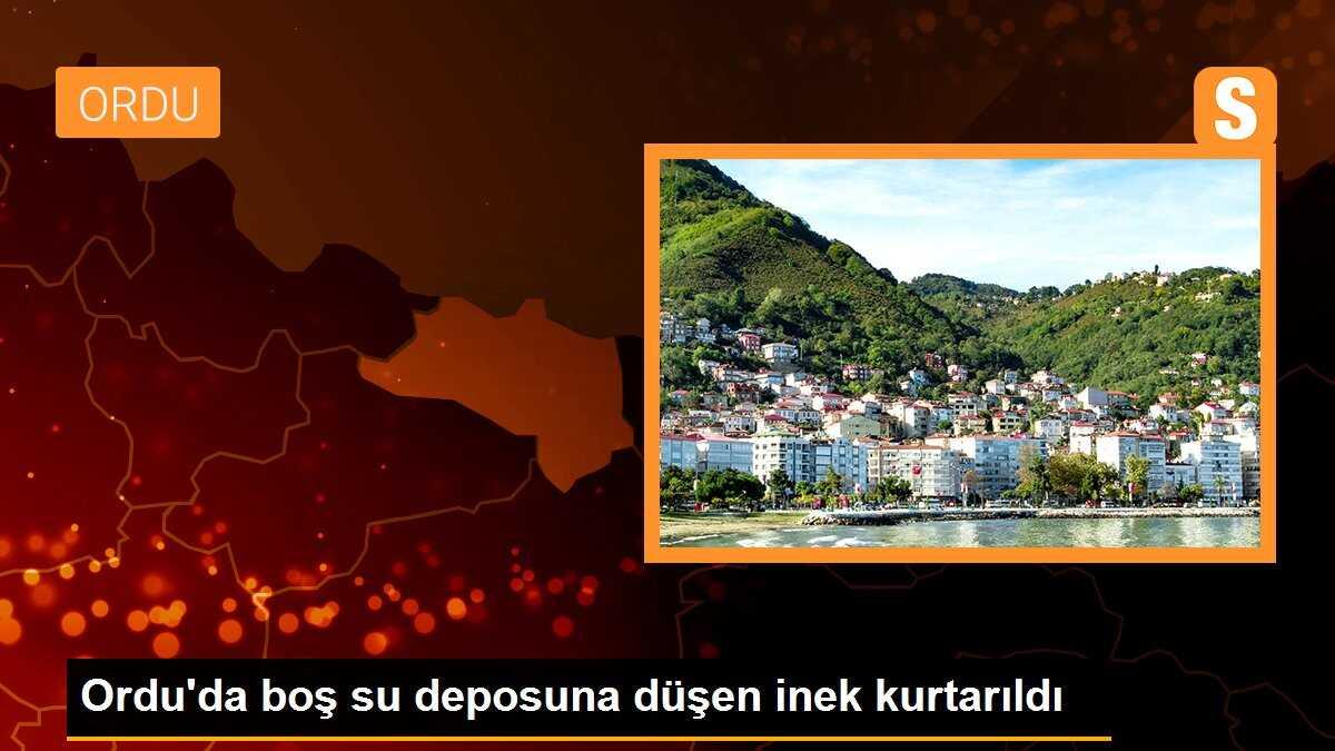 Ordu\'da boş su deposuna düşen inek kurtarıldı