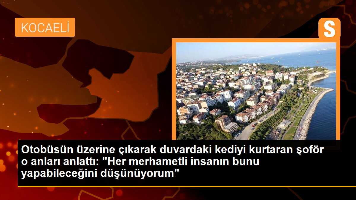 Otobüsün üzerine çıkarak duvardaki kediyi kurtaran şoför o anları anlattı: "Her merhametli insanın bunu yapabileceğini düşünüyorum"