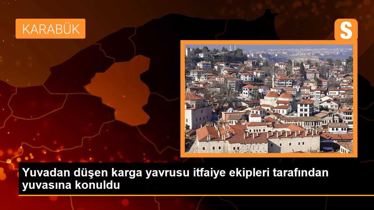 Yuvadan düşen karga yavrusu itfaiye ekipleri tarafından yuvasına konuldu