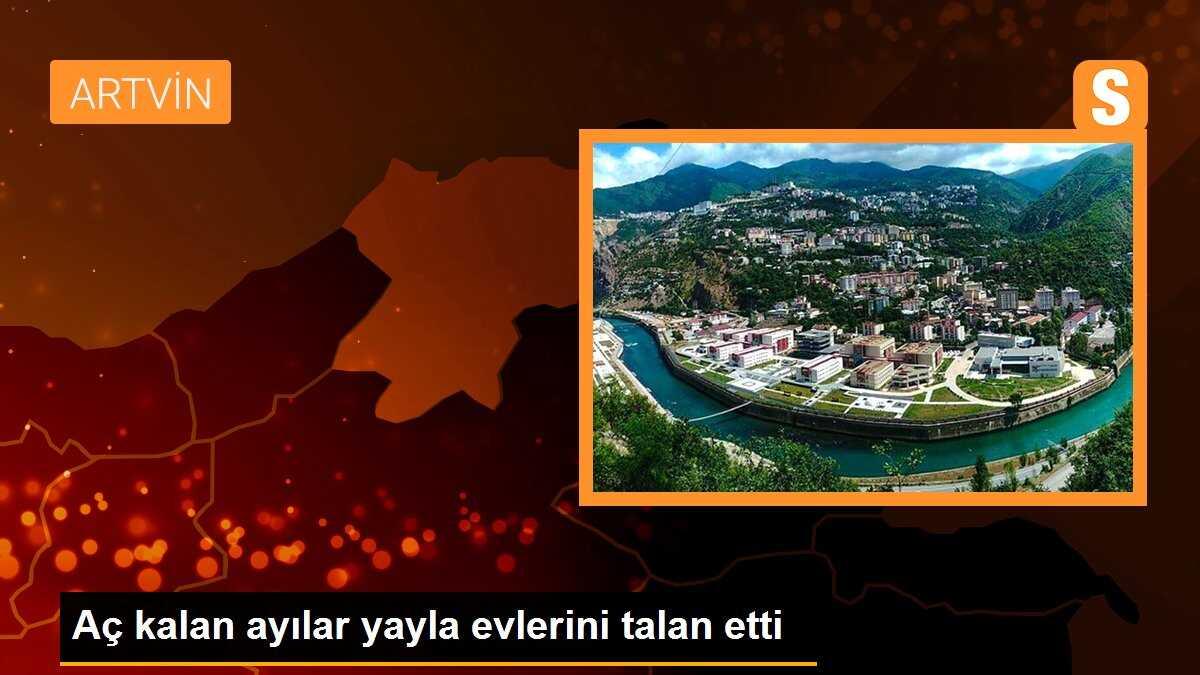 Aç kalan ayılar yayla evlerini talan etti