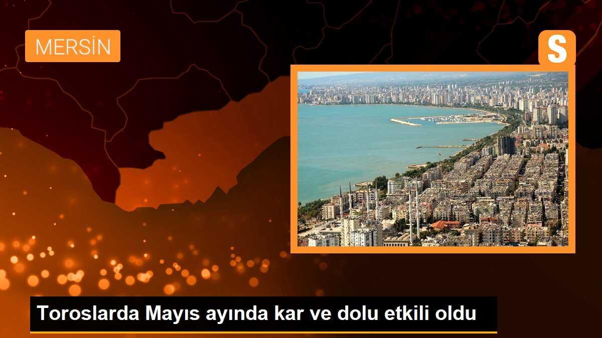 Toroslarda Mayıs ayında kar ve dolu etkili oldu