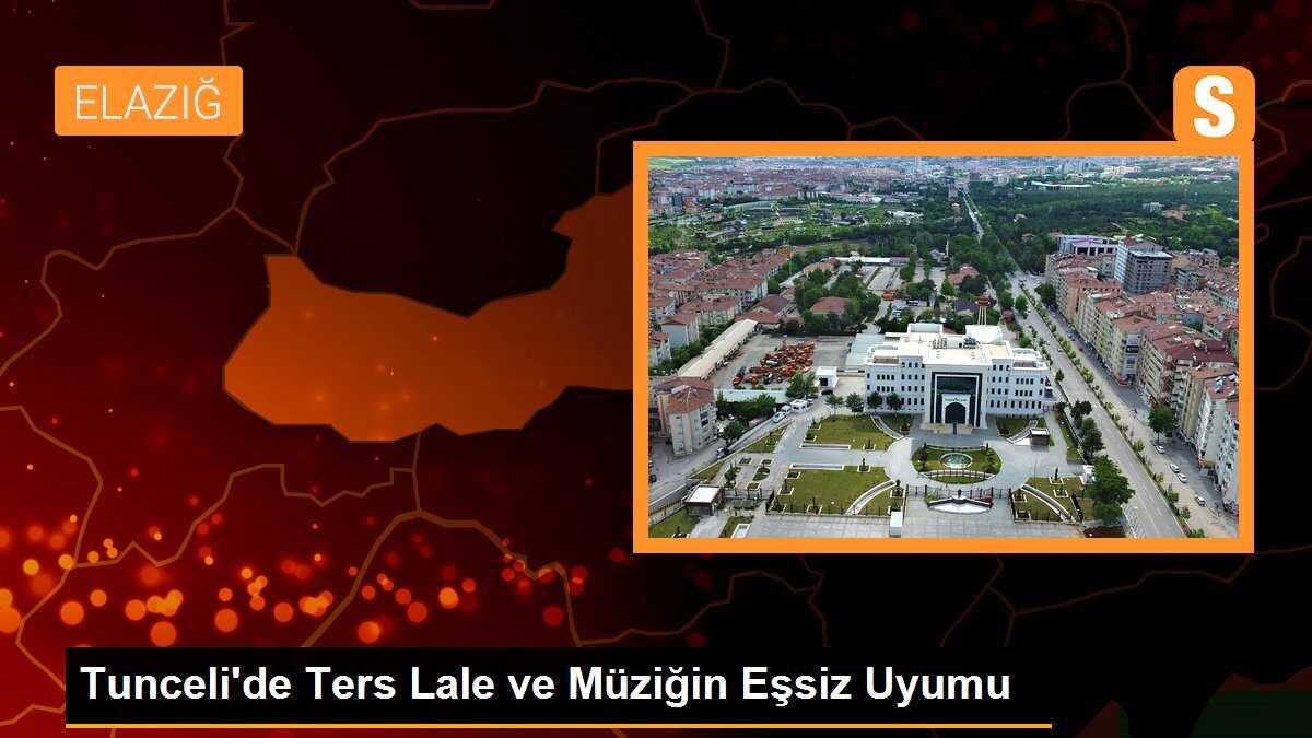 Tunceli\'de Ters Lale ve Müziğin Eşsiz Uyumu