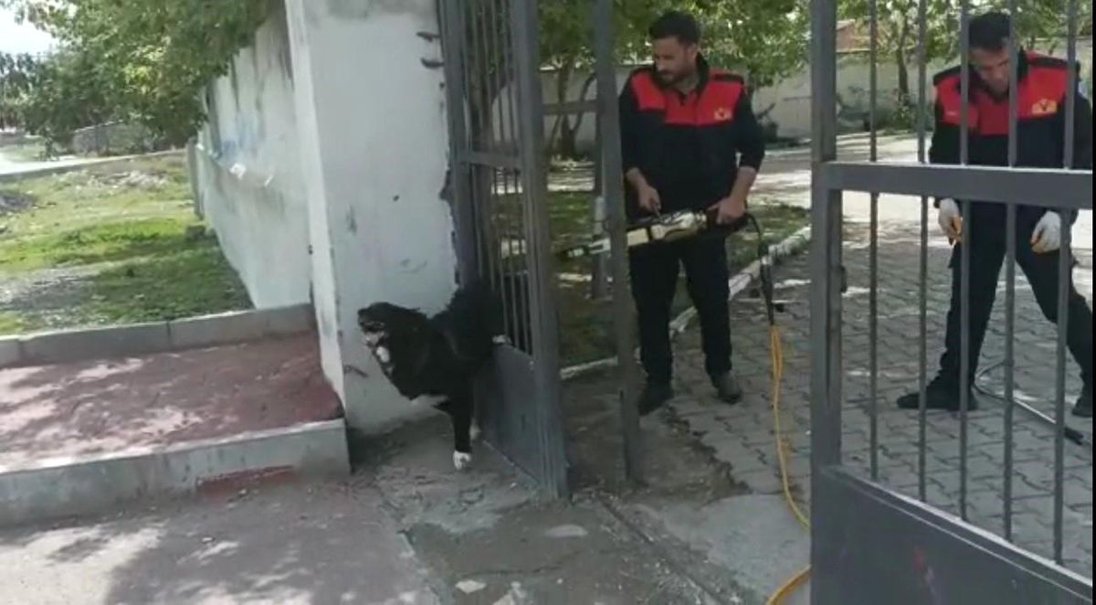 Ağrı\'da demir kapıya sıkışan köpeği itfaiye kurtardı