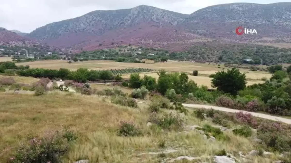 Doğa açık hava fotoğraf stüdyosuna dönüştü