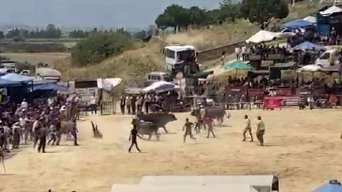 Söke\'deki boğa güreşleri nefes kesti