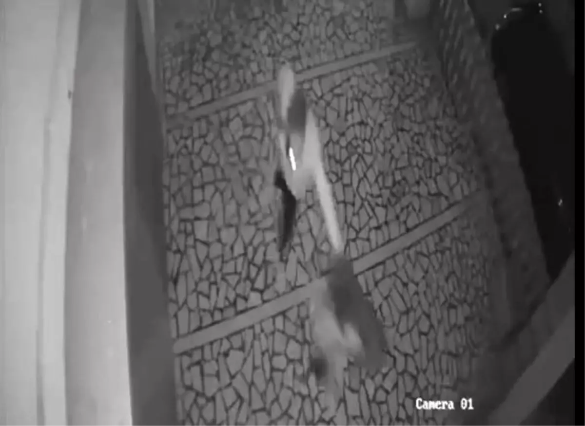 Tartıştığı genç kızı önce tokatladı, sonra saçından tutarak ittirdi