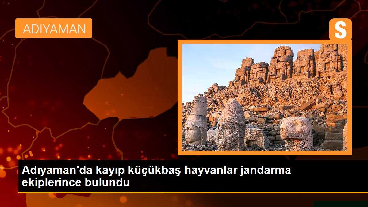 Adıyaman\'da kayıp küçükbaş hayvanlar jandarma ekiplerince bulundu