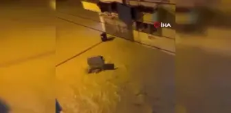 Sağanak su baskınlarına neden oldu, mahalleli caddede balık tutmaya çalıştı