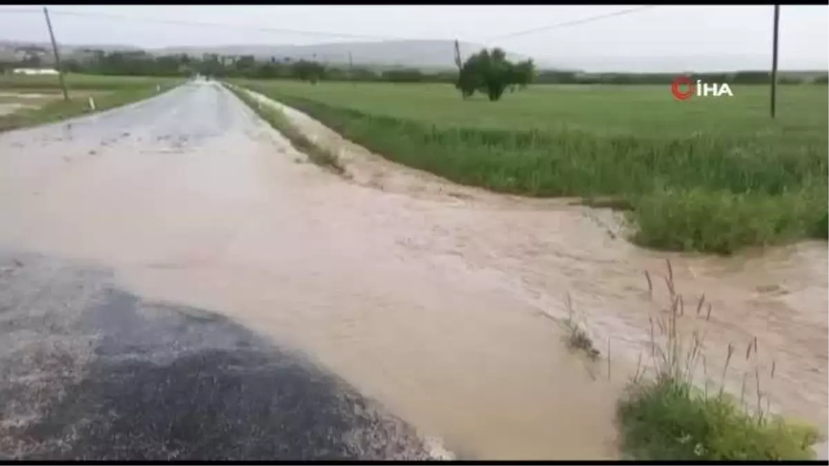 Sağanak ve dolu yağışı tarım arazilerini vurdu