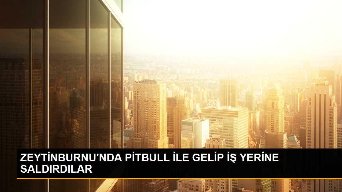 ZEYTİNBURNU\'NDA PİTBULL İLE GELİP İŞ YERİNE SALDIRDILAR