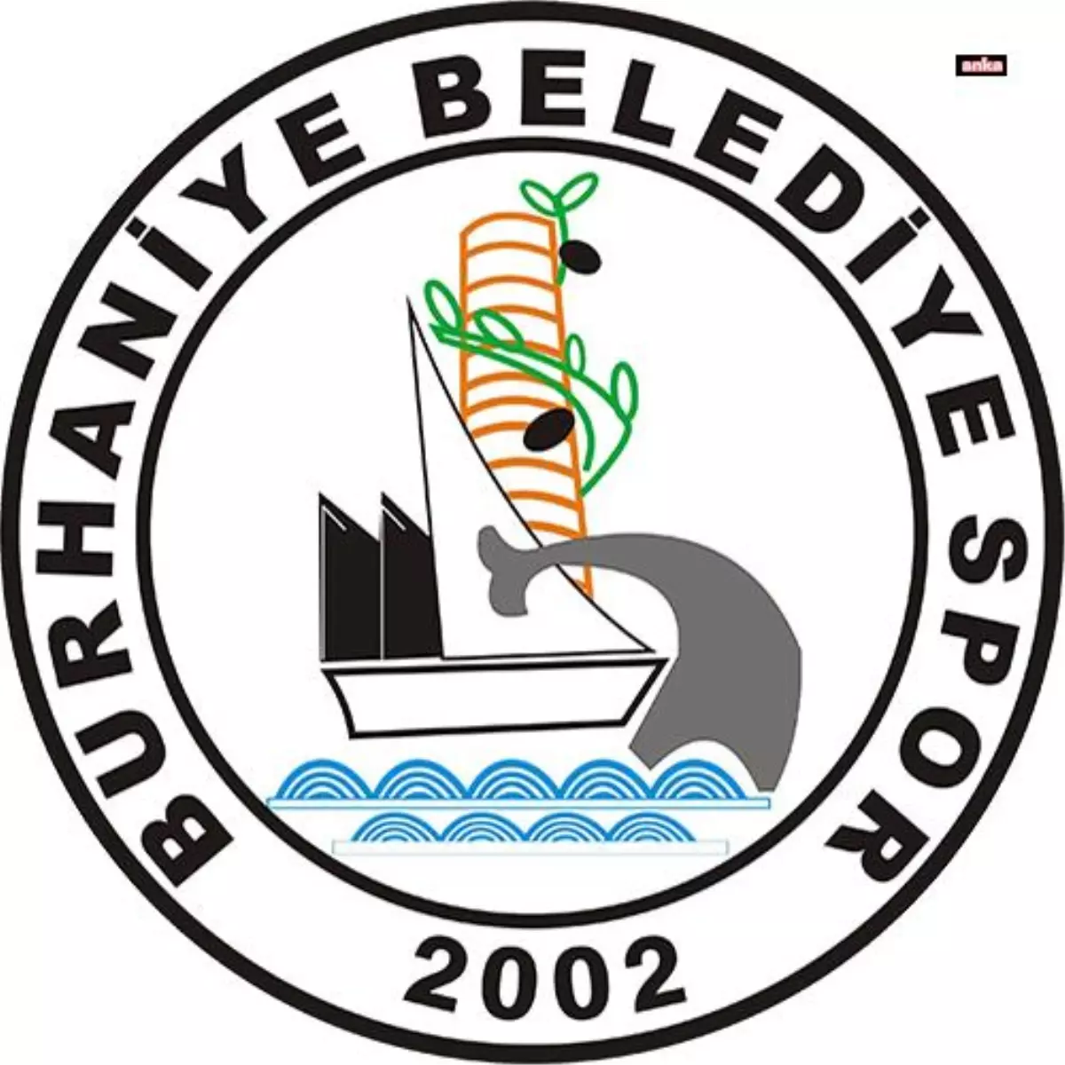 Burhaniye Belediyespor Briç Kulübü, Türkiye Şampiyonası\'nda