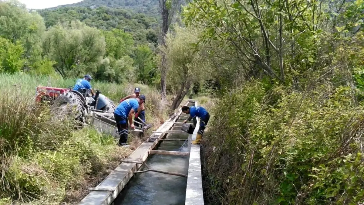 Büyükşehir\'den Muğla tarımına destek