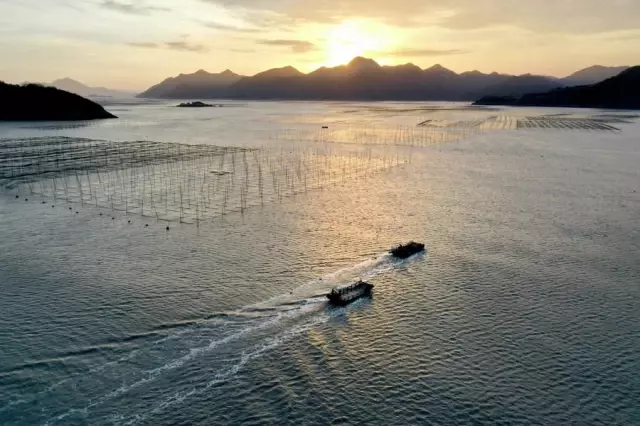 Çin Deniz Balıkçılığı Sektöründe İş Güvenliğini Artıracak