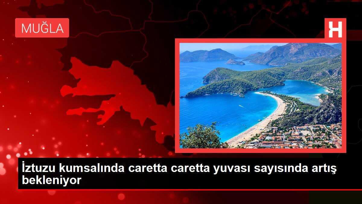 İztuzu kumsalında caretta caretta yuvası sayısında artış bekleniyor