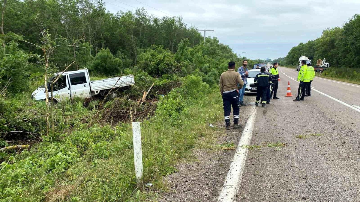 Sinop\'ta kamyonet yol kenarına savruldu: 2 yaralı