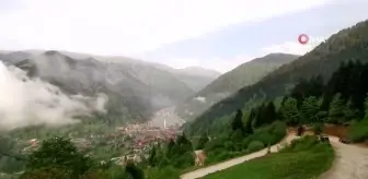 Uzungöl'de bulutların dansı time lapse yöntemi ile böyle görüntülendi