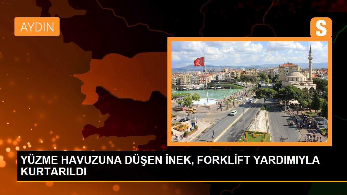 YÜZME HAVUZUNA DÜŞEN İNEK, FORKLİFT YARDIMIYLA KURTARILDI