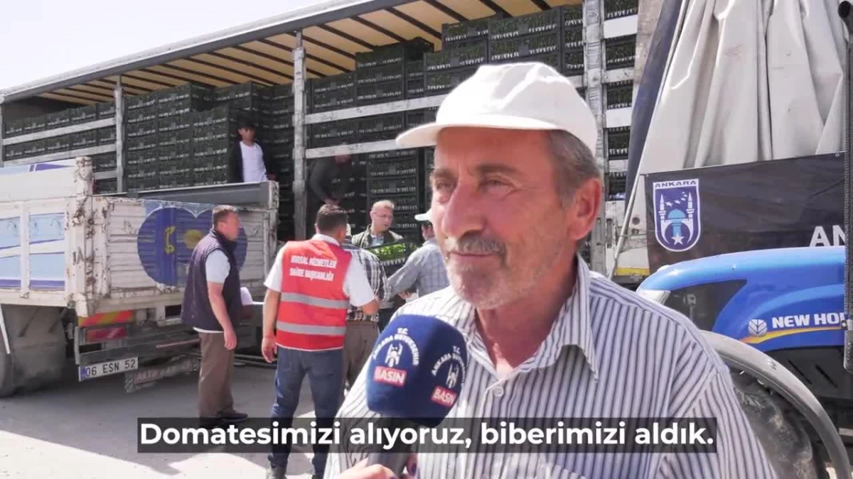 Ankara Büyükşehir Belediyesi, 25 ilçede çiftçilere sebze fidesi desteği veriyor