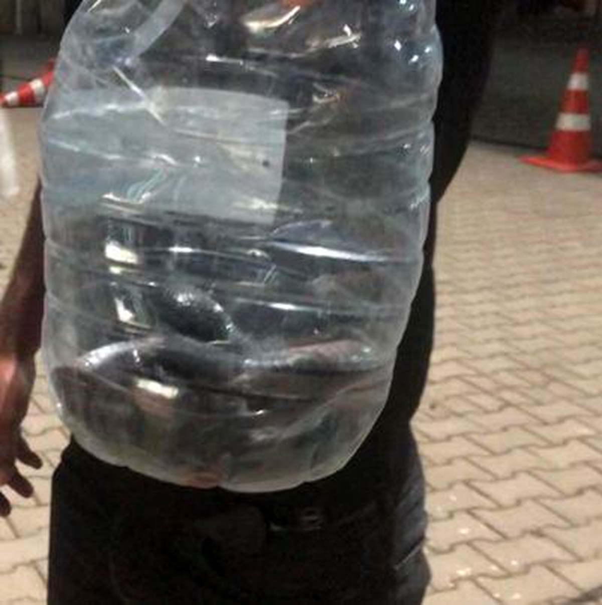 Adıyaman\'da çadırlar arasında görülen yılan paniği