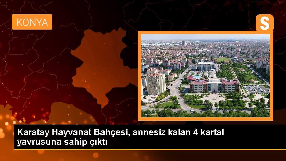 Karatay Hayvanat Bahçesi, annesiz kalan 4 kartal yavrusuna sahip çıktı