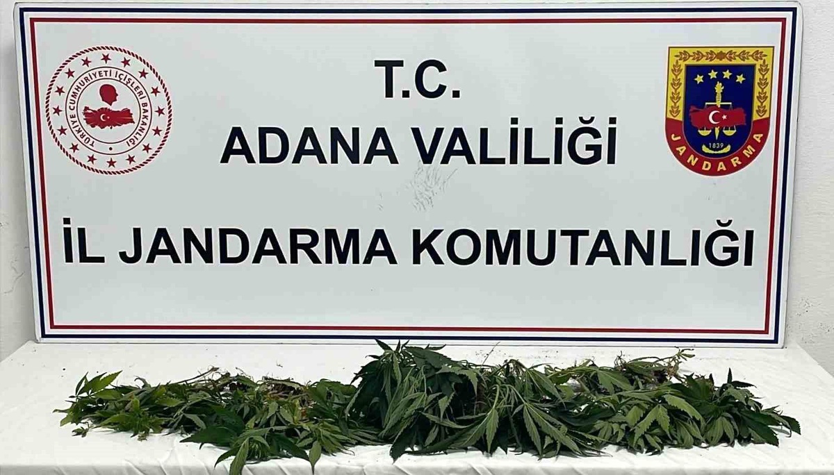 Adana\'da jandarmadan \'Huzur ve güven\' uygulaması