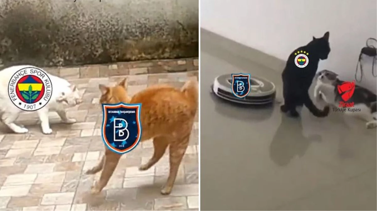 Başakşehir\'in kedi videolu göndermesine jet hızında cevap! Fenerbahçe, taraftarını kırdı geçirdi