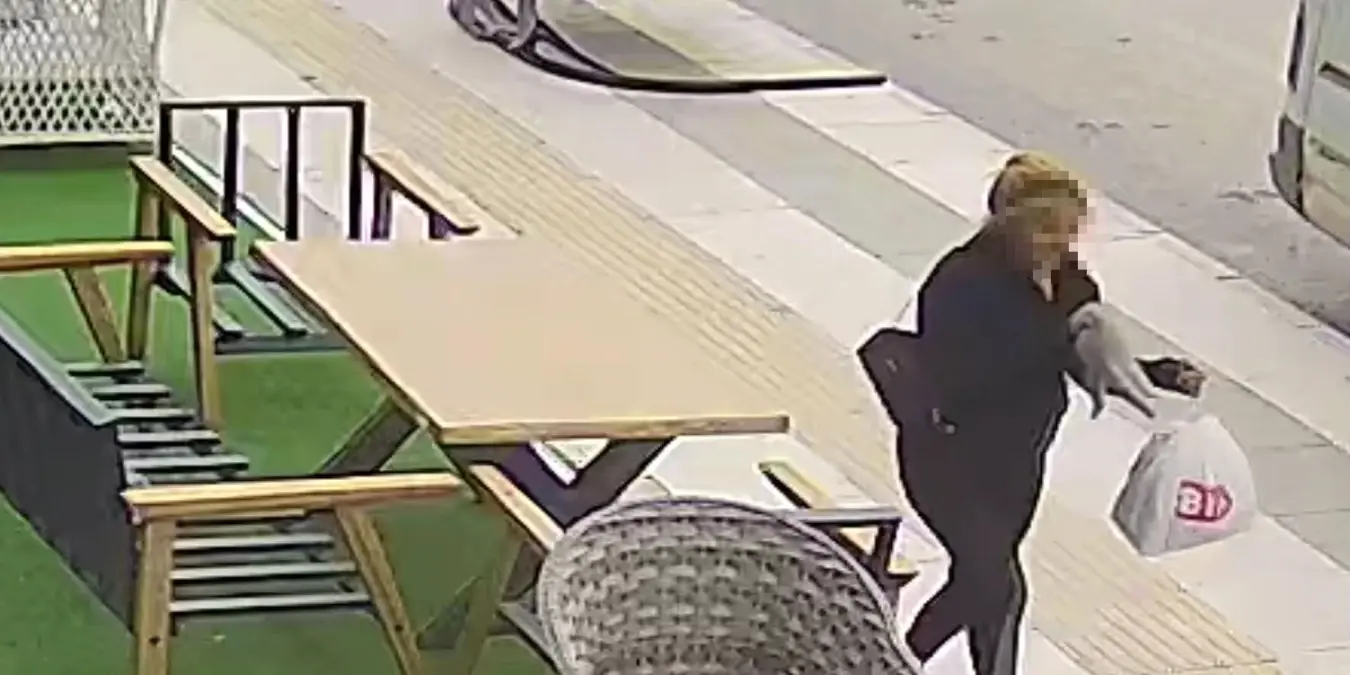 Elazığ\'da sahipli kedisi çalınan işletme sahibi yardım istiyor