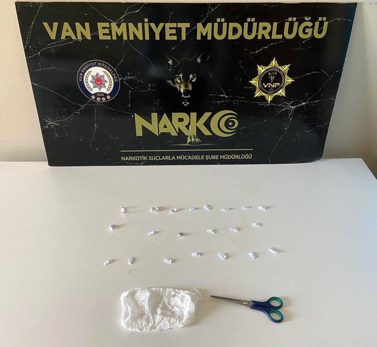 Van\'da \'torbacı\' operasyonu düzenleyen Emniyet Müdürlüğü 20 şahsa yasal işlem yaptı