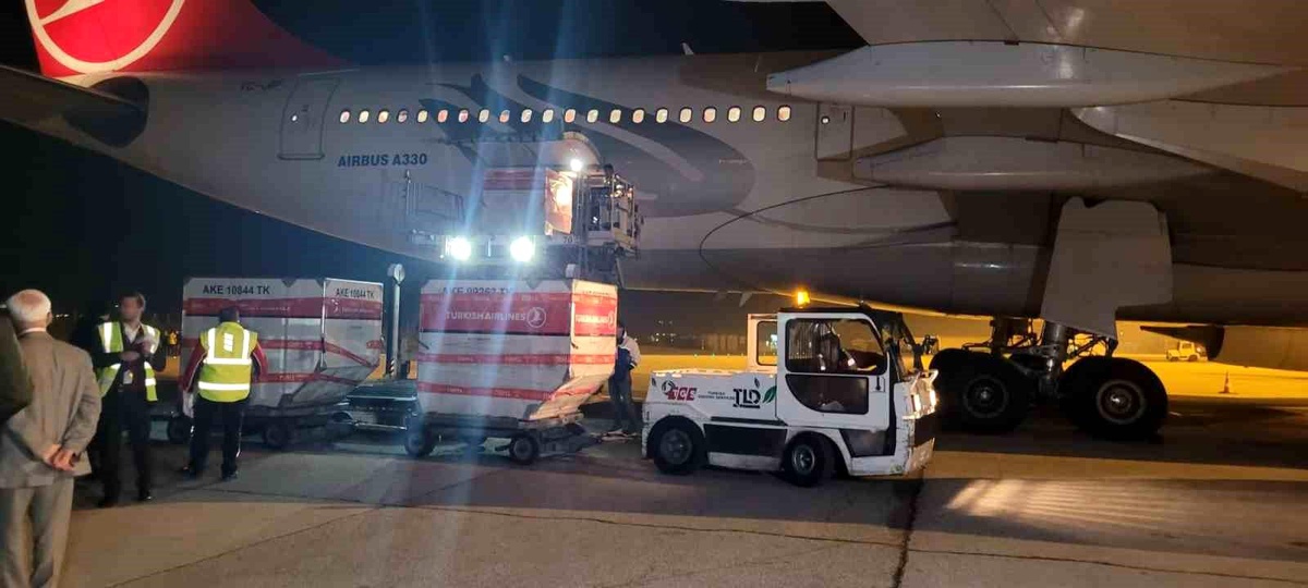 Yurt Dışı Oyları Ankara\'ya Getirildi