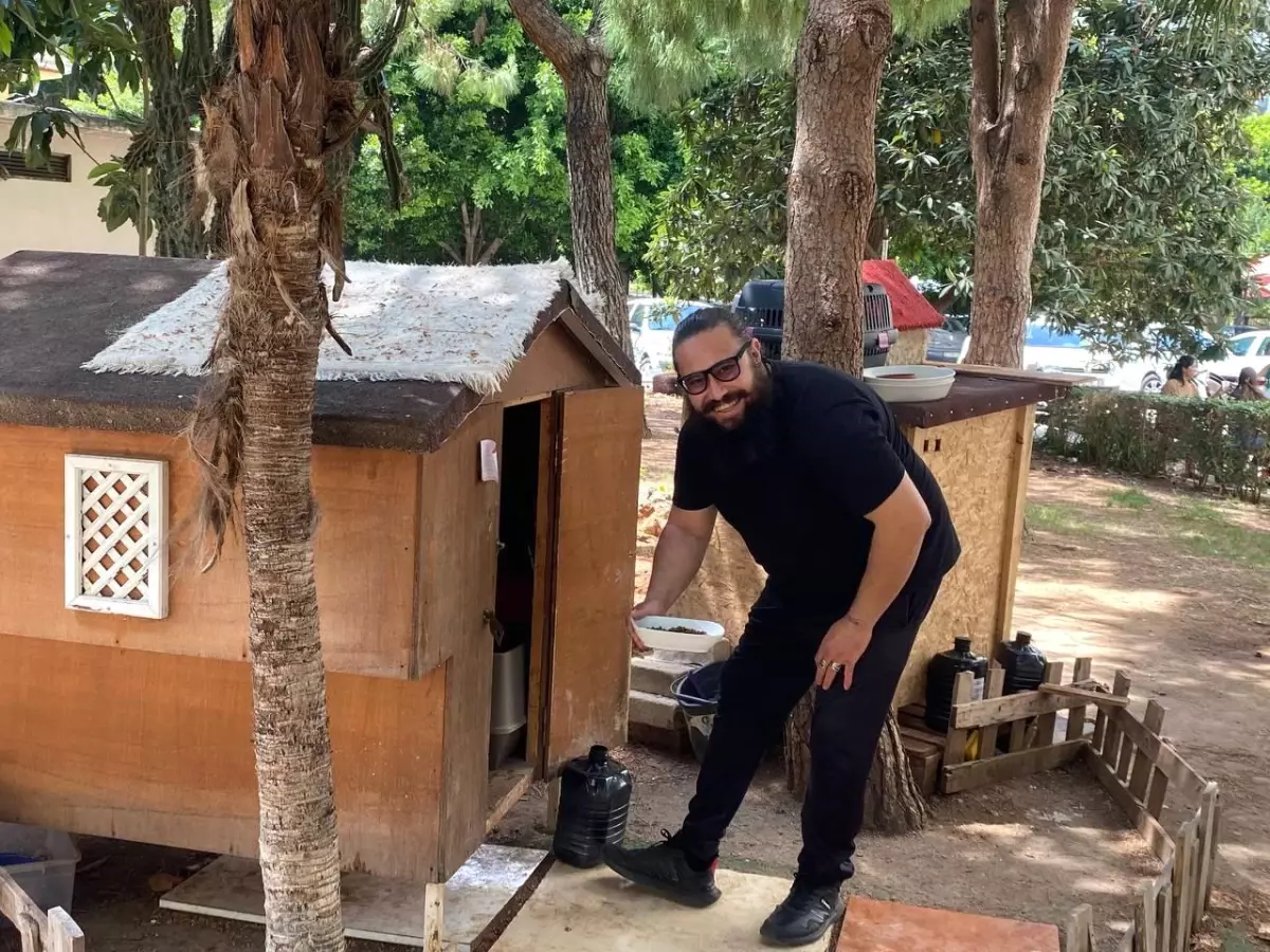 Fotoğrafçı Serkan Gökkaya, Sokak Köpeklerini Besleyip Eğitiyor