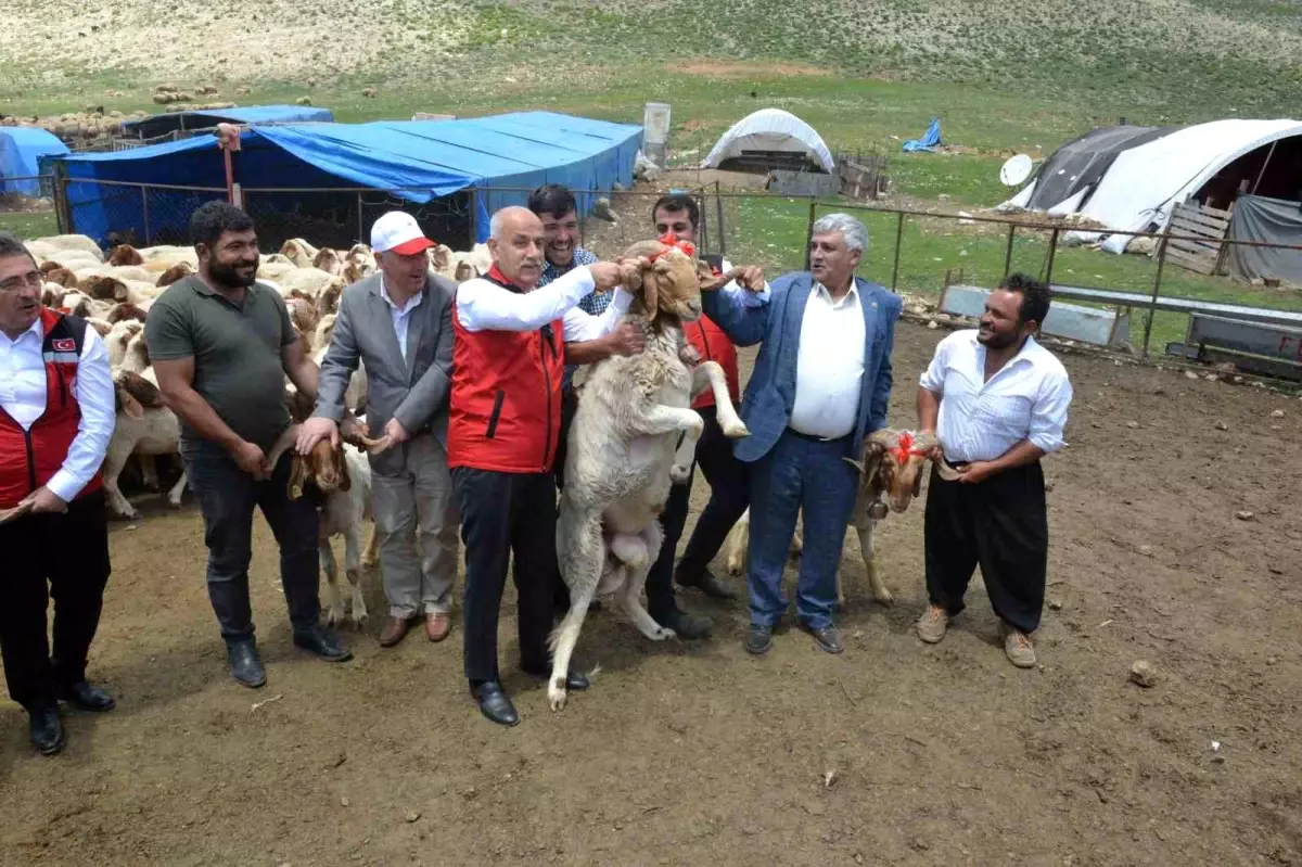 Depremzedelere 43 bin 618 hayvan hibe olarak dağıtılıyor