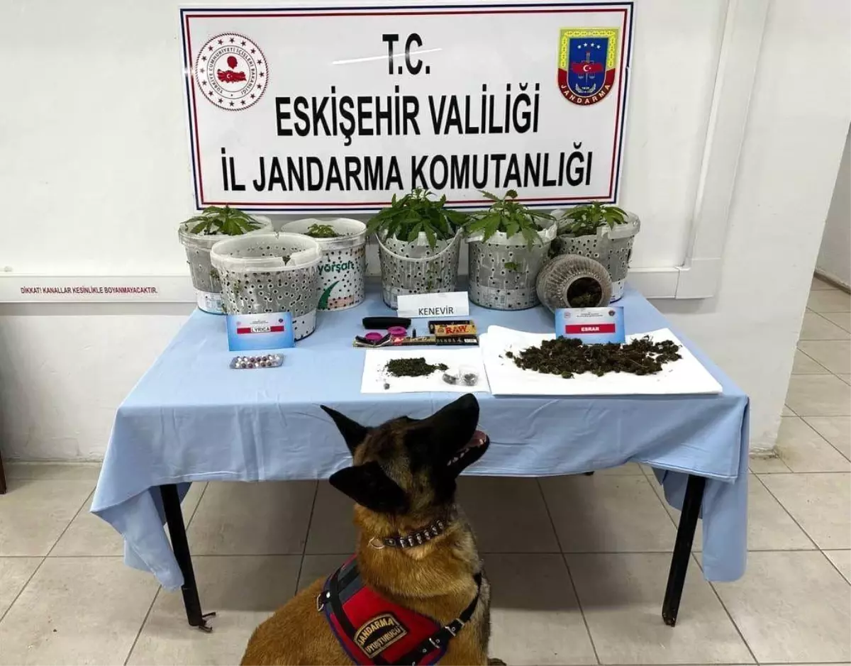 Eskişehir\'de Uyuşturucu Operasyonu: Narkotik Köpeği Akça\'nın Yardımıyla Şahıslar Yakalandı