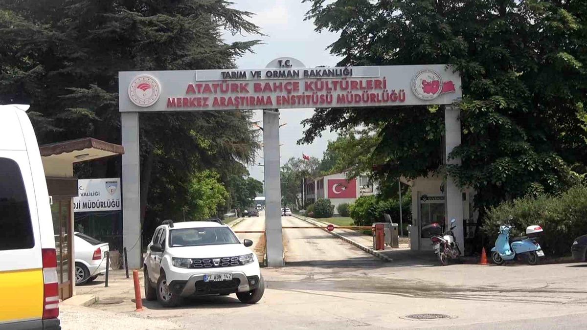 Yalova Atatürk Merkez Araştırma Enstitüsünde Korkutan Yangın