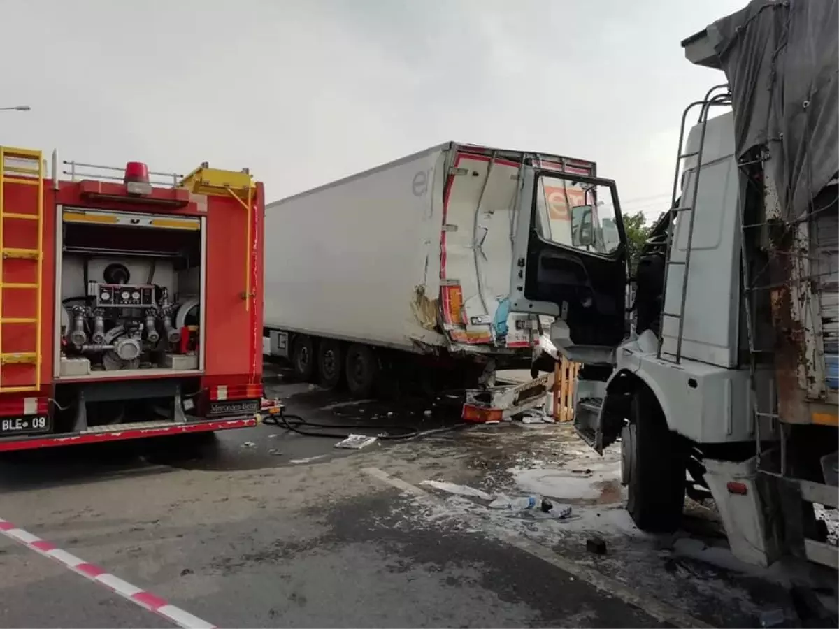 Denizli\'de yavru köpek için yola atlayan yaya tır çarpması sonucu hayatını kaybetti