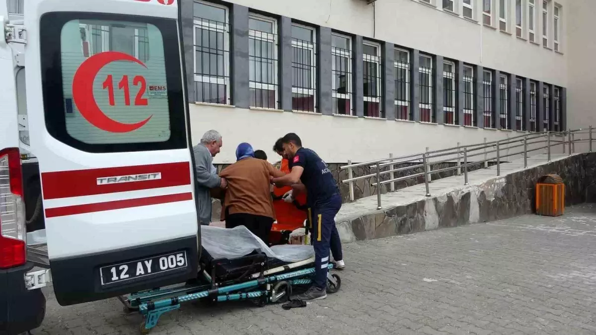 Bingöl\'de yaşlı ve hastalar ambulansla sandığa götürülüyor