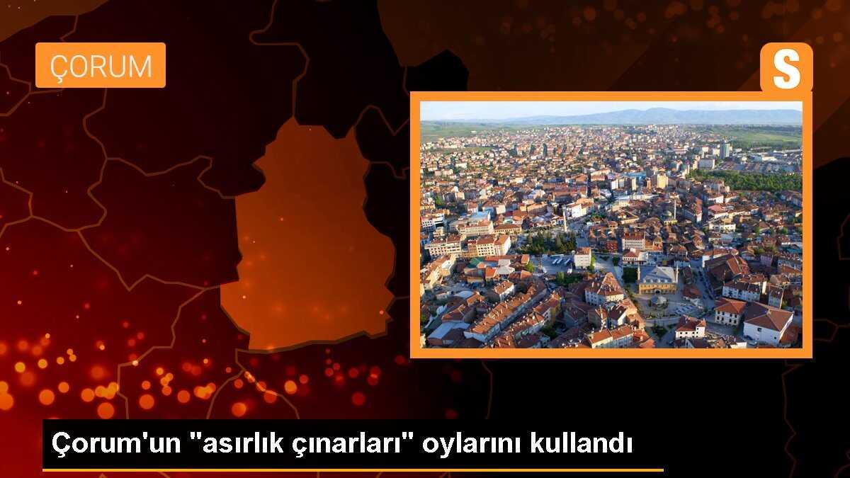 Çorum\'un \'asırlık çınarları\' oylarını kullandı