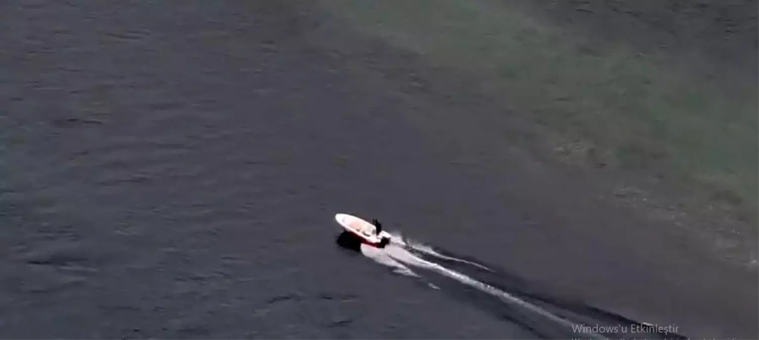 Baraj gölünde mahsur kalan köpekleri vatandaş kurtardı