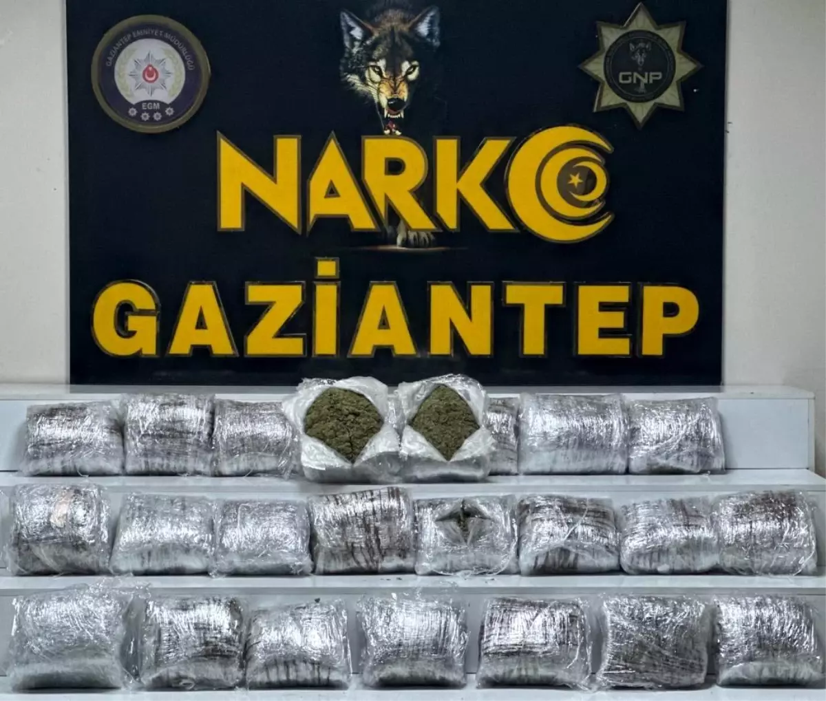 Gaziantep\'te 24 kilo skunk ele geçirildi