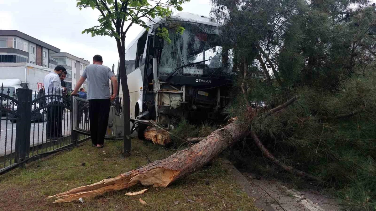 Samsun\'da işçi servisi ağaca çarptı: 9 yaralı
