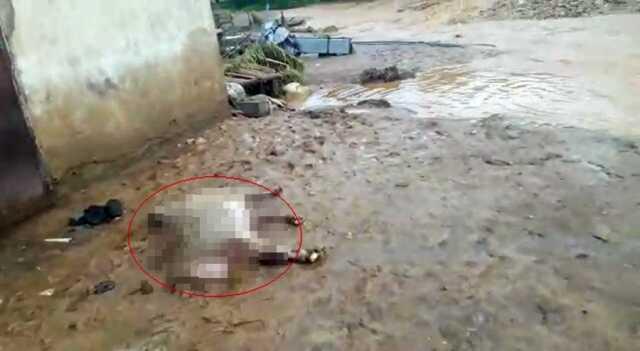 Elazığ'da Sağanak ve Dolu Etkili Oldu; 200 Küçükbaş Hayvan Öldü