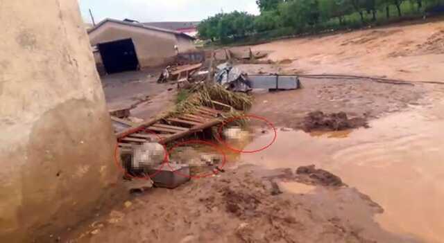 Elazığ'da Sağanak ve Dolu Etkili Oldu; 200 Küçükbaş Hayvan Öldü